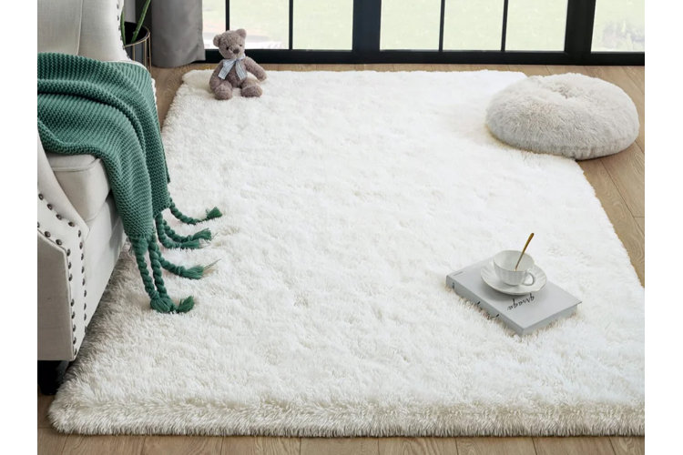 Cleaning 101 How to Clean an Area Rug Wayfair